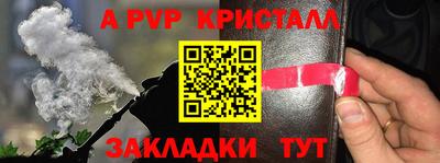 молекула духа Донской