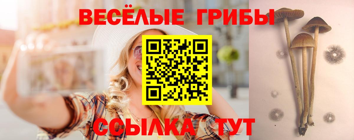 Галлюциногенные грибы Cubensis  Галлюциногенные грибы Psilocybine cubensis  Назрань  Вход с VPN 
